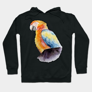 Parrot On A Chimney Hoodie